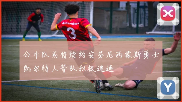 公牛队或将续约安芬尼西蒙斯勇士凯尔特人等队积极追逐