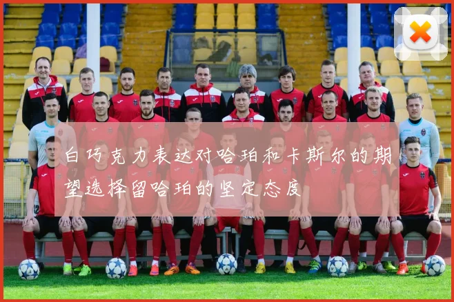 白巧克力表达对哈珀和卡斯尔的期望选择留哈珀的坚定态度